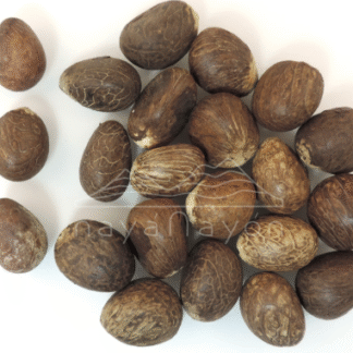 Accesorio tagua "naya" nuez seca mini