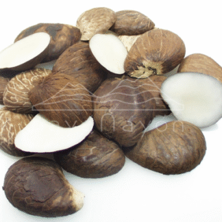 Accesorio tagua "naya" tajada una cara mediana