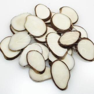 Accesorio tagua "naya" tajada 2 caras 7 mm mediana