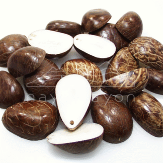 Accesorio tagua "naya" Media nuez cáscara pulida