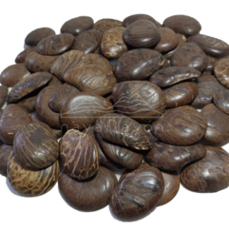 Accesorio tagua "naya" Primera tajada cáscara pulida