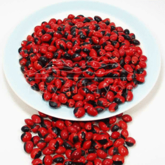 Accesorio tagua "naya" Huaeruro macho