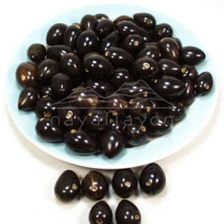 Accesorio tagua "naya" Mocora