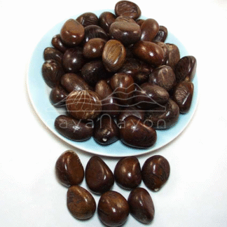 Accesorio tagua "naya" Nuez pequeña cáscara pulida