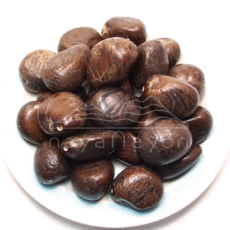 Accesorio tagua "naya" Nuez con cáscara pulida