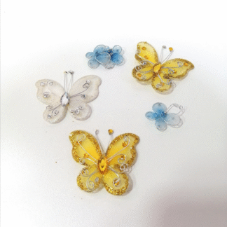 Exhibidores de mariposas