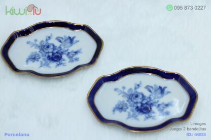 Juego de bandejitas de porcelana de 2 piezas con flores azules y borde azul